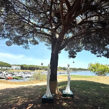 Apartment Climatise 4pers Motte Ponant, Vue Exceptionnelle Lac, Double Terrasse, Parking, Base Nautique, Golf & A Pied, Draps & Serviettes Fournis - 2eme Etage Sans Ascenceur