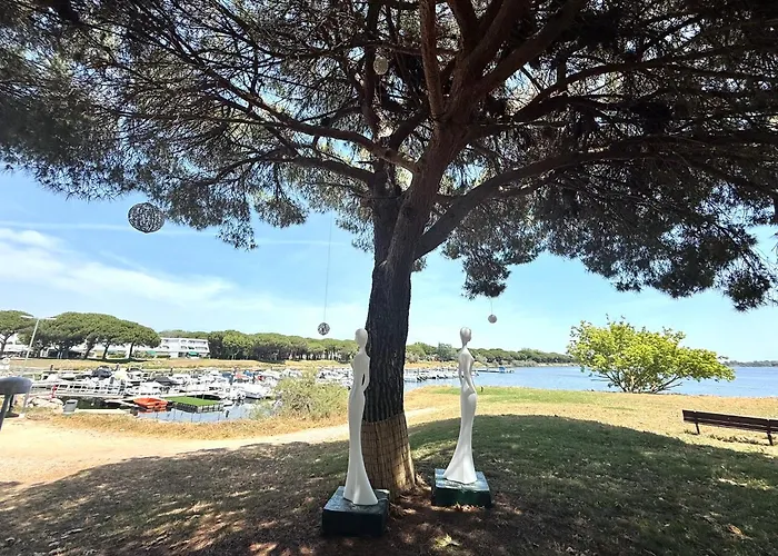 Διαμέρισμα 4pers Motte Ponant, Vue Exceptionnelle Lac, Double Terrasse, Parking, Base Nautique, Golf & A Pied, Draps & Serviettes Fournis - 2eme Etage Sans Ascenceur
